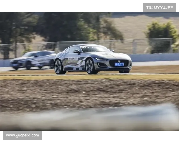 高尔夫球场的绿意世界与挑战探索，感受挥杆瞬间的极致魅力