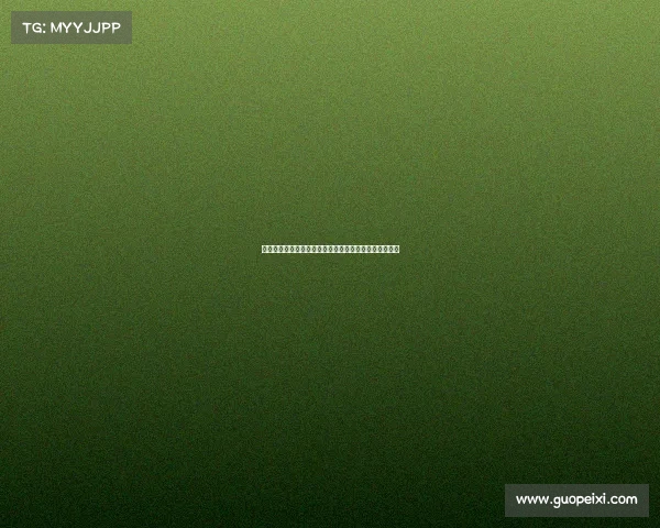 足球俱乐部转会资金来源分析及其对球队运营模式的影响