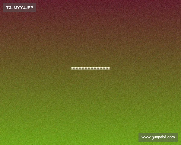 阿莫林预计将在国际比赛日期间与俱乐部商谈未来发展计划